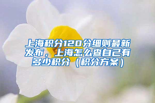 上海积分120分细则最新发布，上海怎么查自己有多少积分（积分方案）