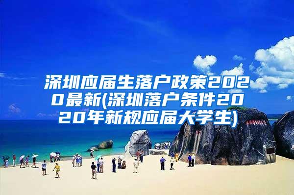 深圳应届生落户政策2020最新(深圳落户条件2020年新规应届大学生)