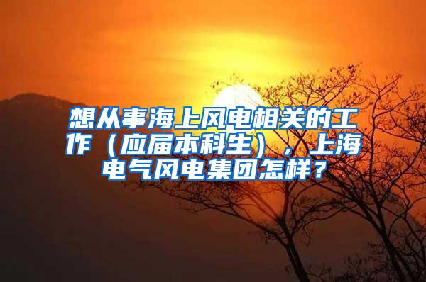 想从事海上风电相关的工作（应届本科生），上海电气风电集团怎样？