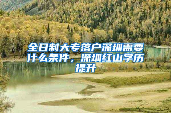 全日制大专落户深圳需要什么条件，深圳红山学历提升