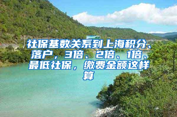 社保基数关系到上海积分、落户，3倍、2倍、1倍、最低社保，缴费金额这样算→