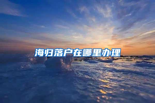 海归落户在哪里办理