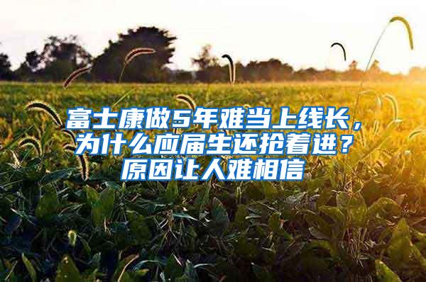 富士康做5年难当上线长，为什么应届生还抢着进？原因让人难相信