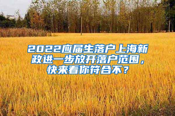 2022应届生落户上海新政进一步放开落户范围，快来看你符合不？