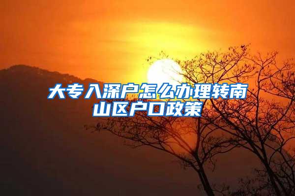 大专入深户怎么办理转南山区户口政策