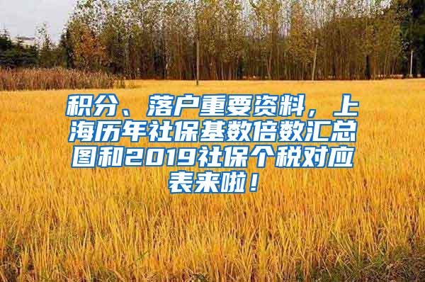 积分、落户重要资料，上海历年社保基数倍数汇总图和2019社保个税对应表来啦！