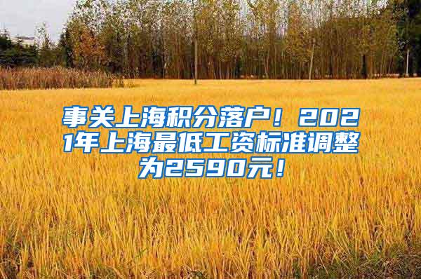 事关上海积分落户！2021年上海最低工资标准调整为2590元！