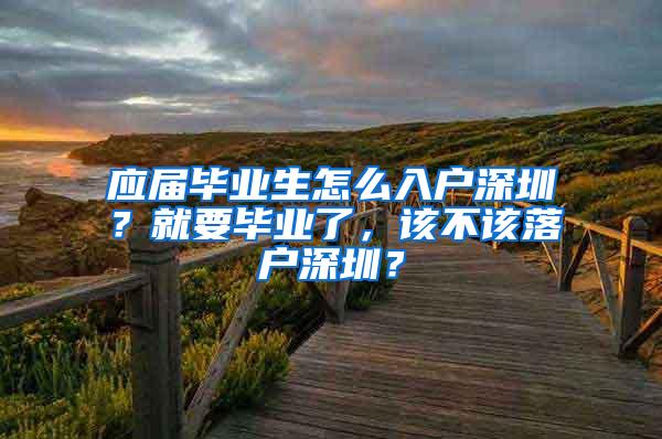 应届毕业生怎么入户深圳？就要毕业了，该不该落户深圳？