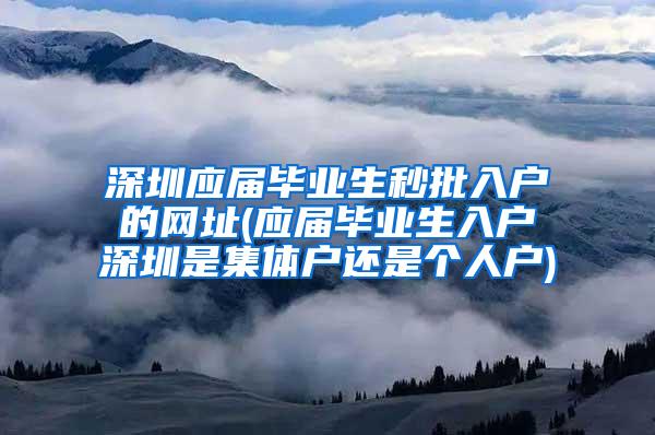 深圳应届毕业生秒批入户的网址(应届毕业生入户深圳是集体户还是个人户)