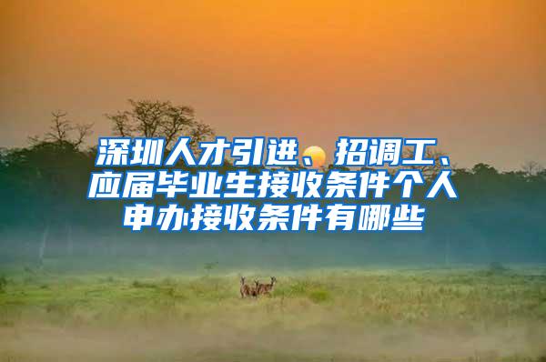 深圳人才引进、招调工、应届毕业生接收条件个人申办接收条件有哪些