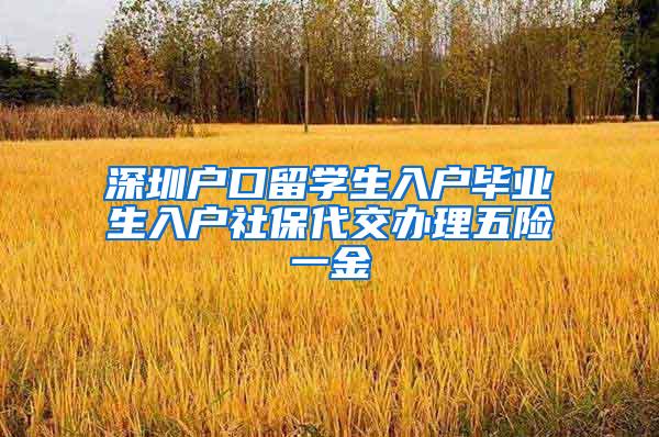 深圳户口留学生入户毕业生入户社保代交办理五险一金