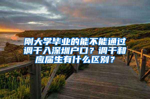 刚大学毕业的能不能通过调干入深圳户口？调干和应届生有什么区别？