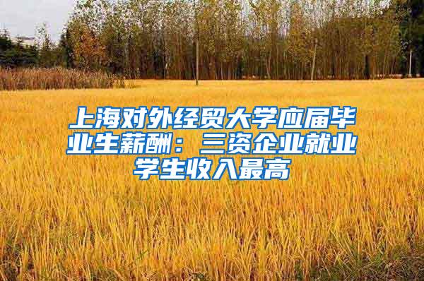 上海对外经贸大学应届毕业生薪酬：三资企业就业学生收入最高