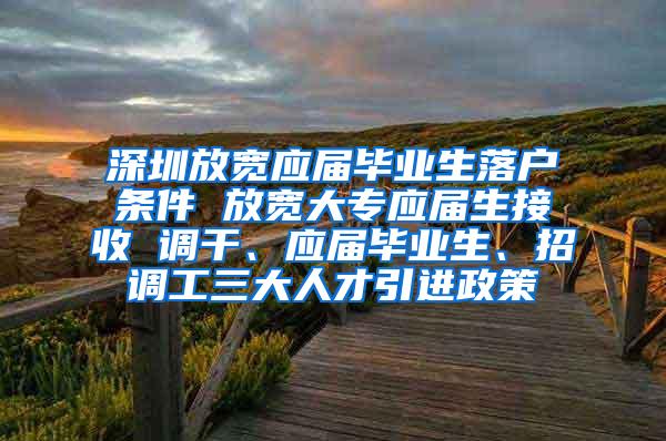 深圳放宽应届毕业生落户条件 放宽大专应届生接收 调干、应届毕业生、招调工三大人才引进政策