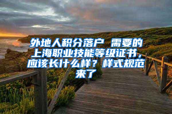 外地人积分落户 需要的上海职业技能等级证书，应该长什么样？样式规范来了→