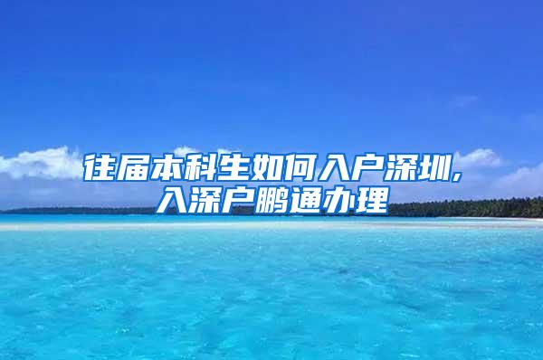 往届本科生如何入户深圳,入深户鹏通办理