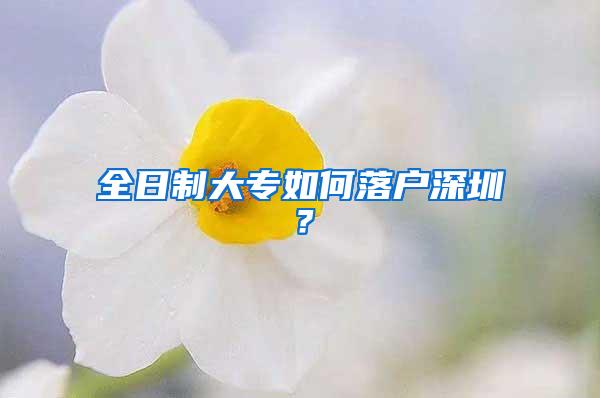 全日制大专如何落户深圳？