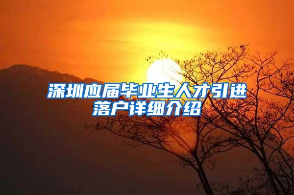 深圳应届毕业生人才引进落户详细介绍