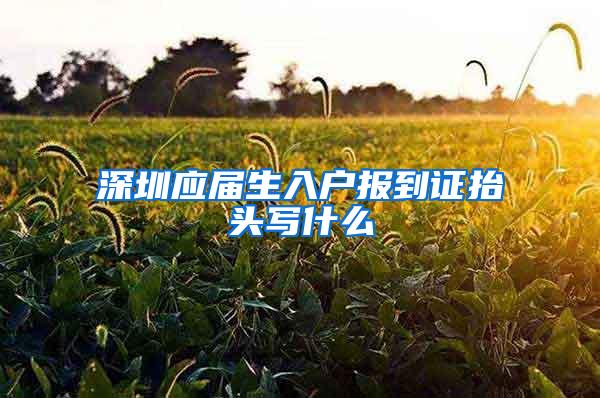 深圳应届生入户报到证抬头写什么