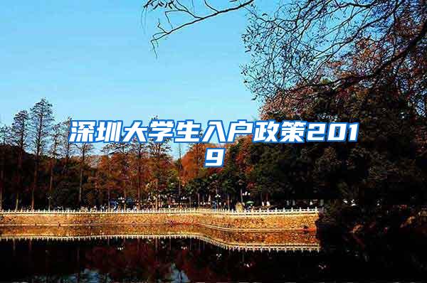 深圳大学生入户政策2019