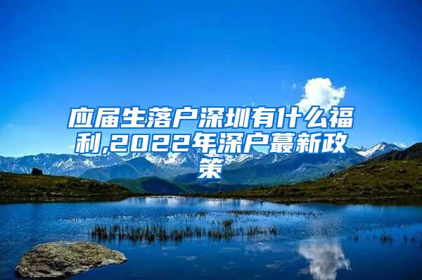 应届生落户深圳有什么福利,2022年深户蕞新政策