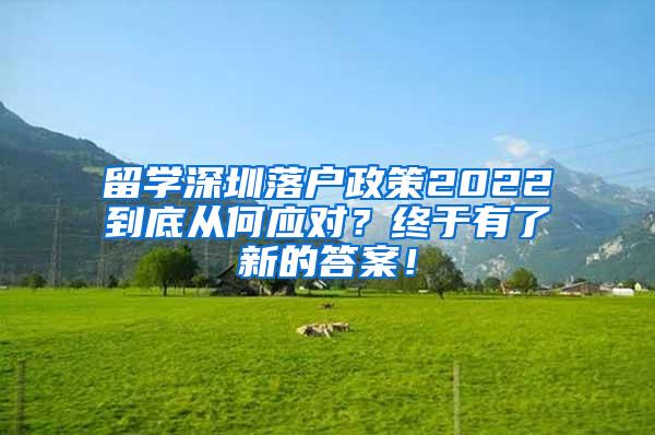 留学深圳落户政策2022到底从何应对？终于有了新的答案！