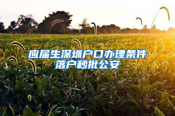 应届生深圳户口办理条件落户秒批公安