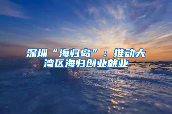 深圳“海归岛”：推动大湾区海归创业就业