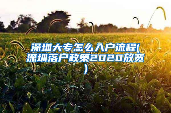 深圳大专怎么入户流程(深圳落户政策2020放宽)