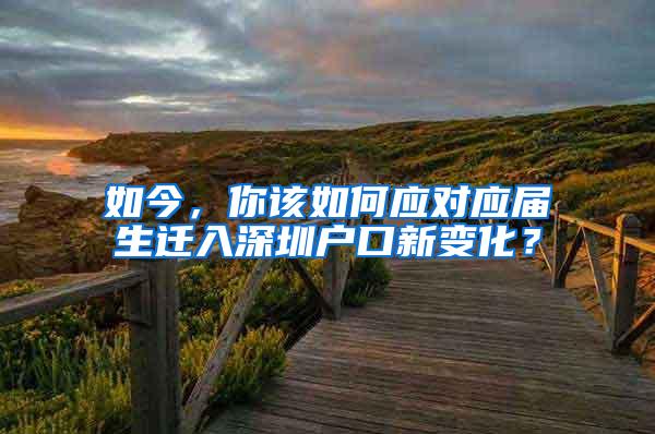 如今，你该如何应对应届生迁入深圳户口新变化？