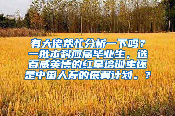 有大佬帮忙分析一下吗？一批本科应届毕业生，选百威英博的红星培训生还是中国人寿的展翼计划。？