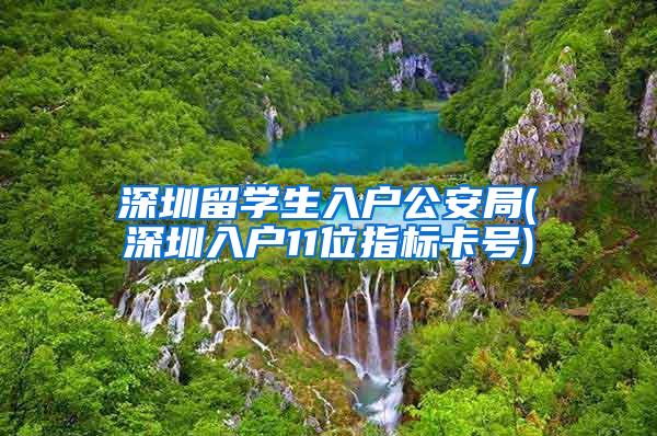 深圳留学生入户公安局(深圳入户11位指标卡号)