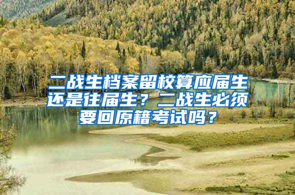 二战生档案留校算应届生还是往届生？二战生必须要回原籍考试吗？