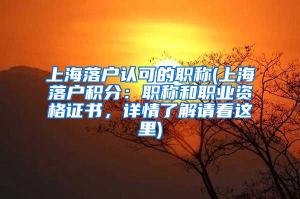 上海落户认可的职称(上海落户积分：职称和职业资格证书，详情了解请看这里)