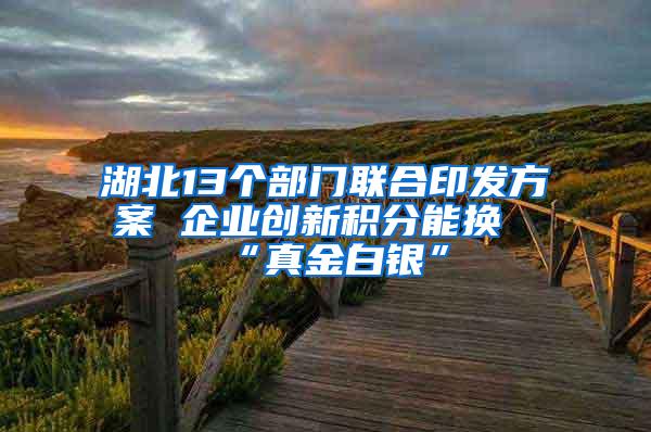 湖北13个部门联合印发方案 企业创新积分能换“真金白银”