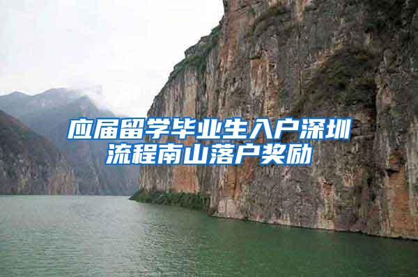 应届留学毕业生入户深圳流程南山落户奖励