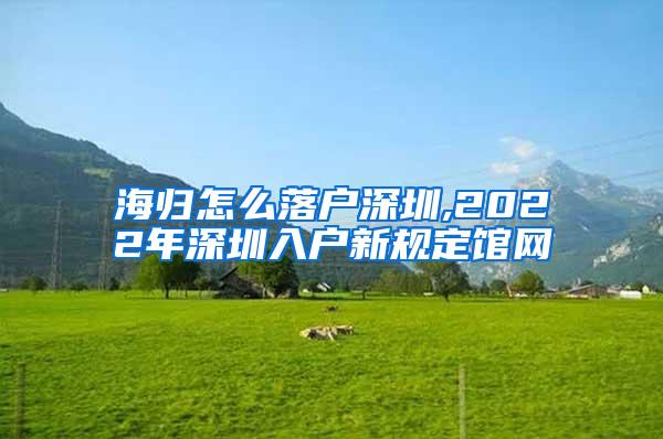 海归怎么落户深圳,2022年深圳入户新规定馆网