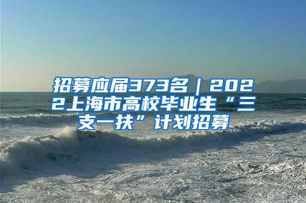 招募应届373名｜2022上海市高校毕业生“三支一扶”计划招募