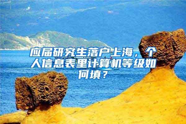 应届研究生落户上海，个人信息表里计算机等级如何填？