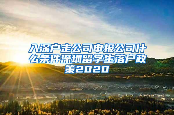 入深户走公司申报公司什么条件深圳留学生落户政策2020