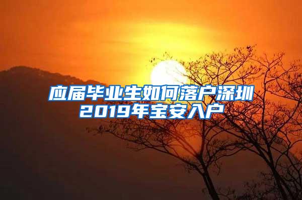 应届毕业生如何落户深圳2019年宝安入户