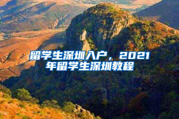 留学生深圳入户，2021年留学生深圳教程