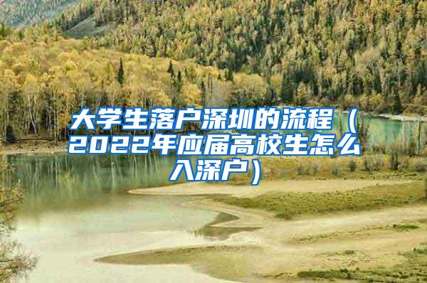 大学生落户深圳的流程（2022年应届高校生怎么入深户）