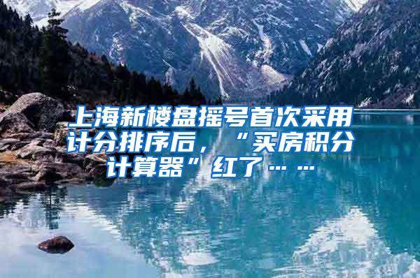 上海新楼盘摇号首次采用计分排序后，“买房积分计算器”红了……