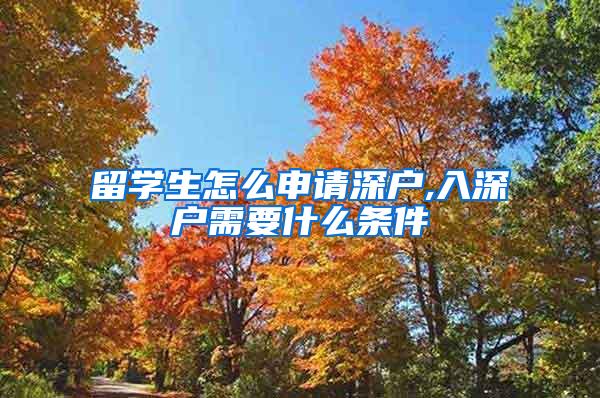 留学生怎么申请深户,入深户需要什么条件