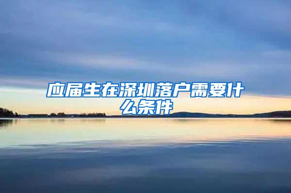 应届生在深圳落户需要什么条件