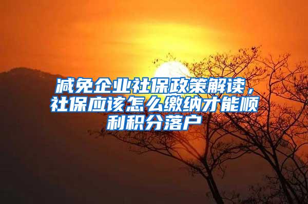 减免企业社保政策解读，社保应该怎么缴纳才能顺利积分落户