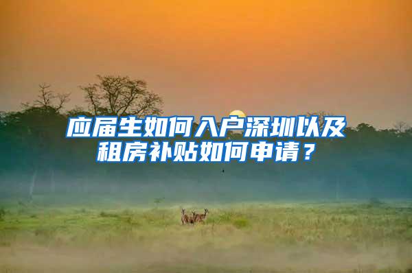 应届生如何入户深圳以及租房补贴如何申请？