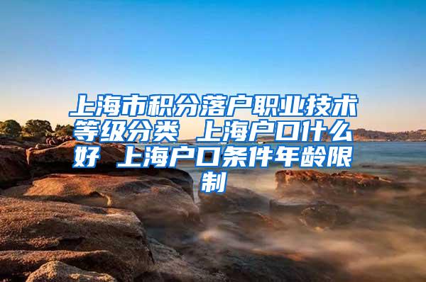 上海市积分落户职业技术等级分类 上海户口什么好 上海户口条件年龄限制