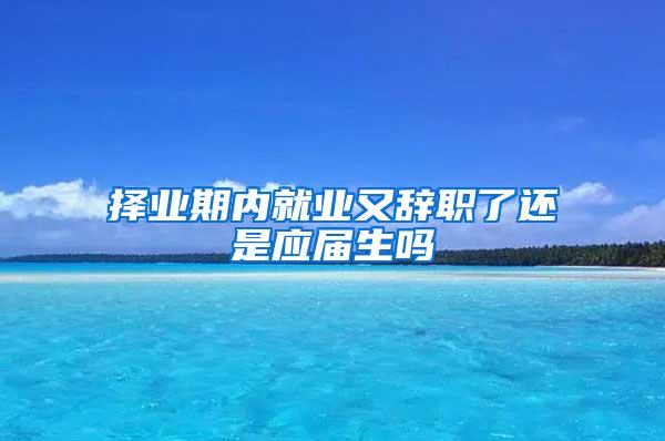 择业期内就业又辞职了还是应届生吗